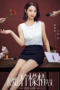 ดูซีรี่ย์ แผนรักลวงใจ Plot Love (2021) พากย์ไทย EP.1-24 (จบ)  Season 1