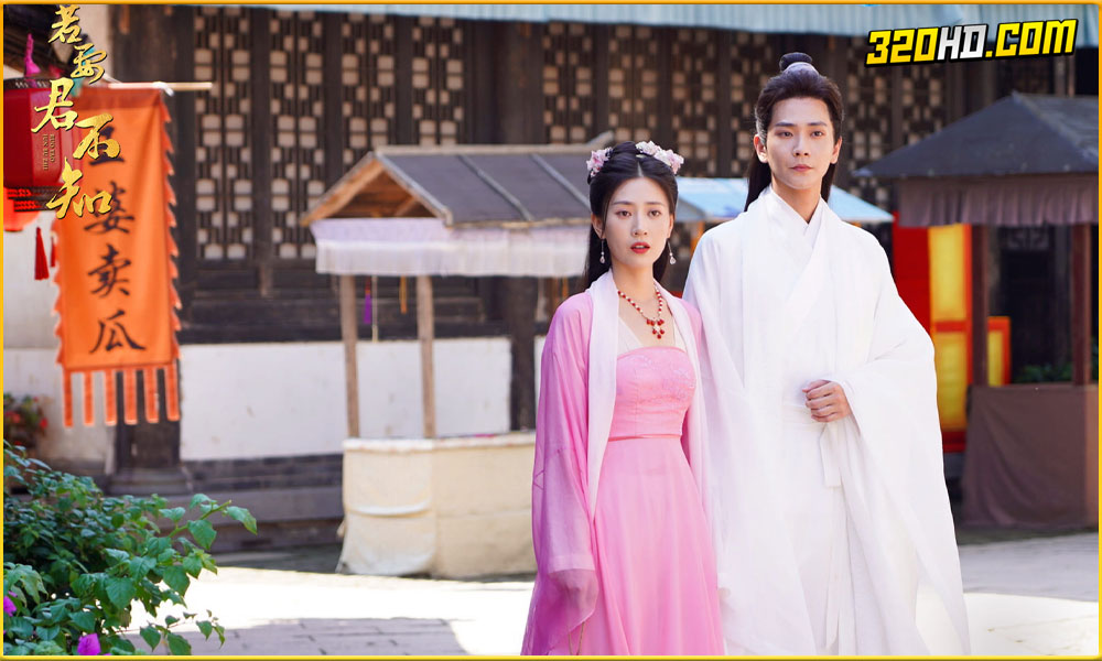 ดูซีรี่ย์จีน The Imposter (2024) 